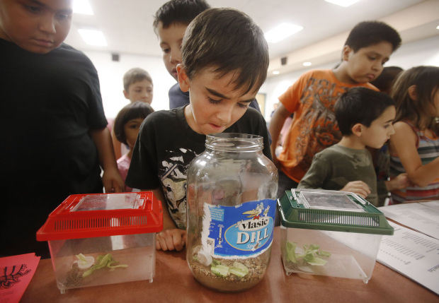 Reptiles of Southern Arizona at Woods Memorial Library